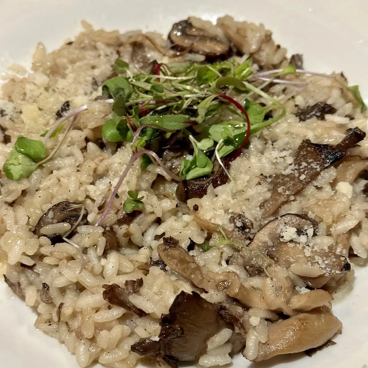 Wild Mushroom Risotto