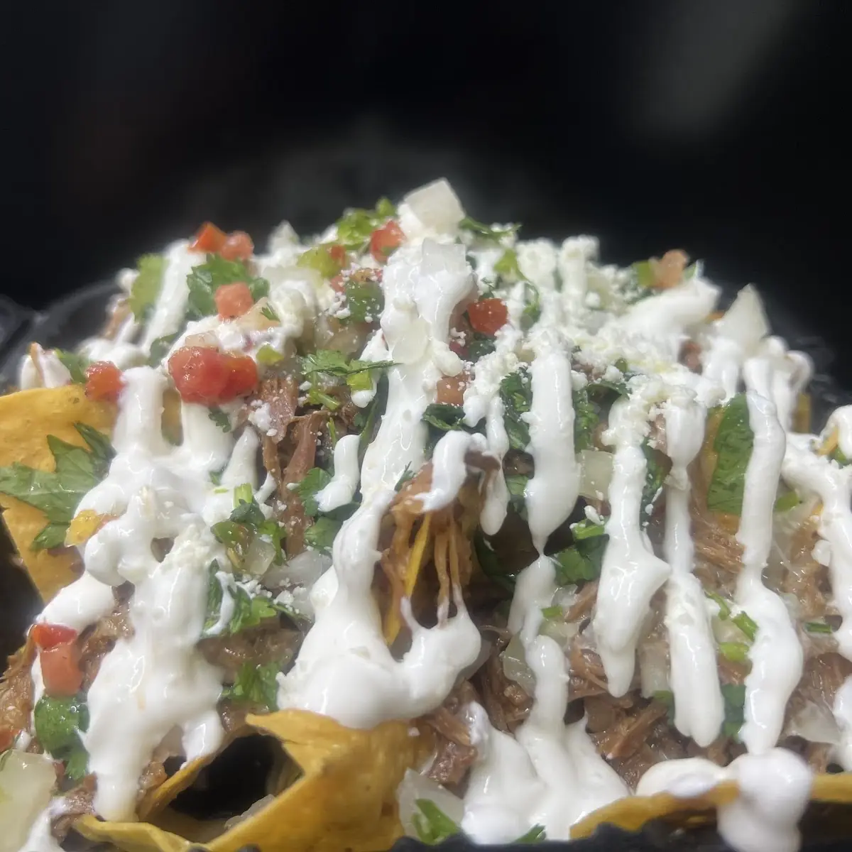 Carne Asada Loaded Fries