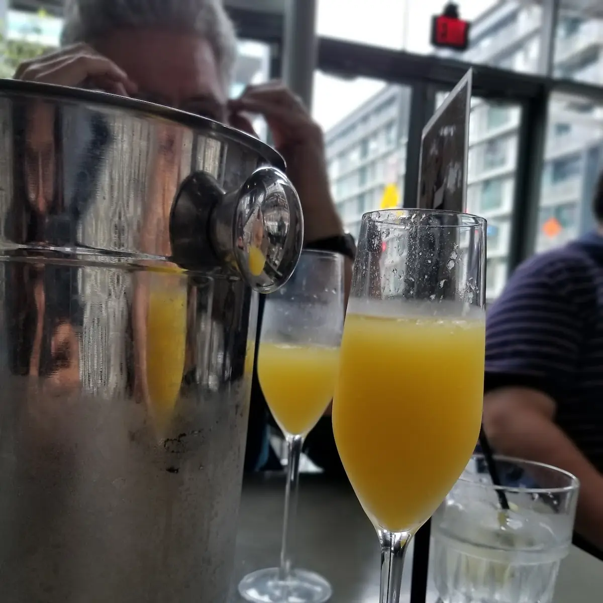 Mimosa Kit