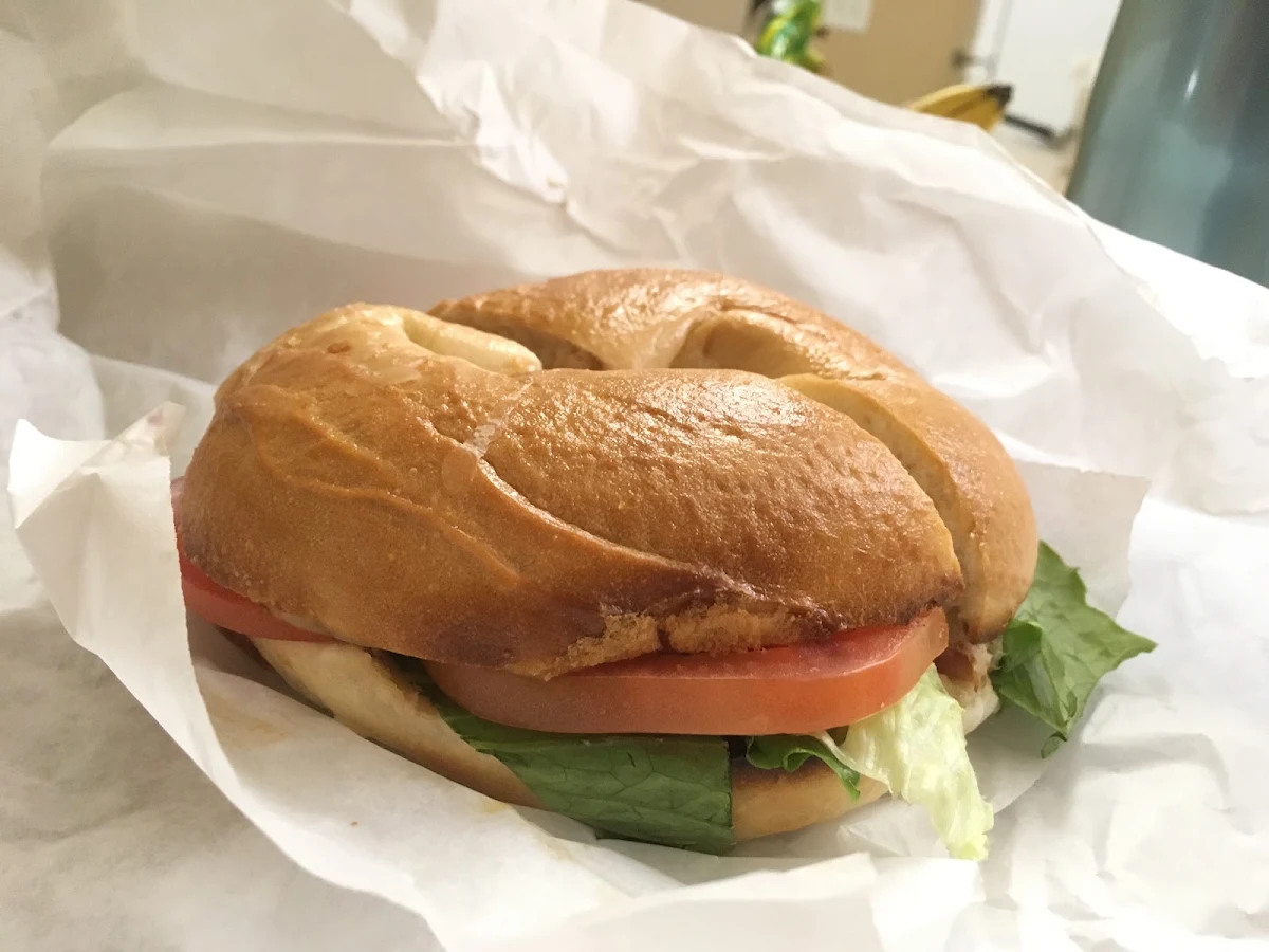 Tuna Melt Hot