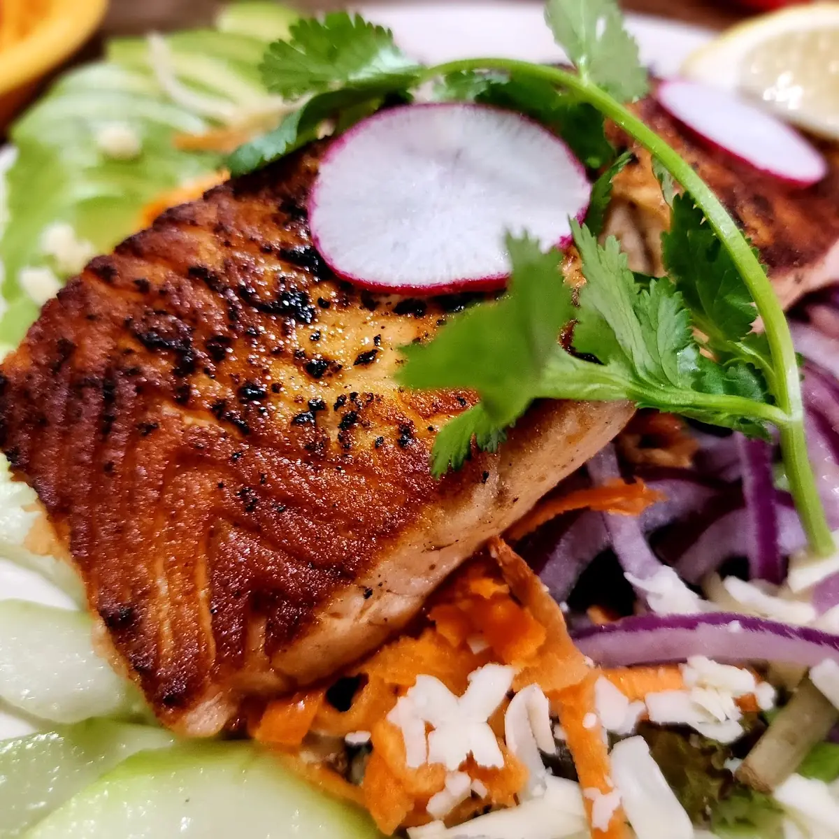 Grilled Salmon Salad