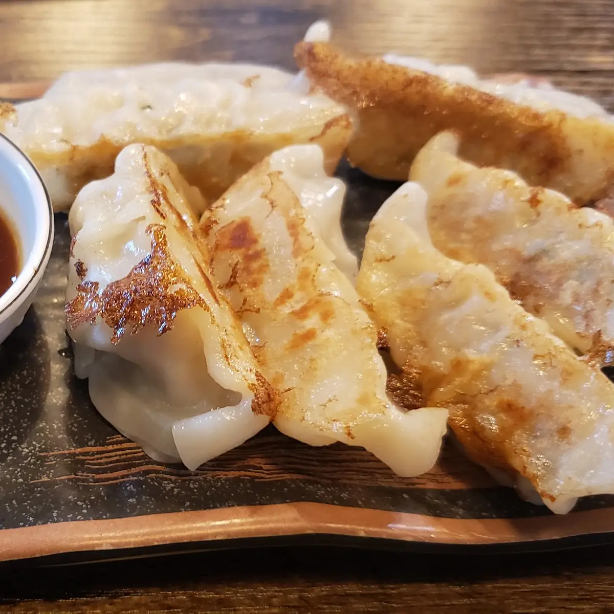 Pork Gyoza