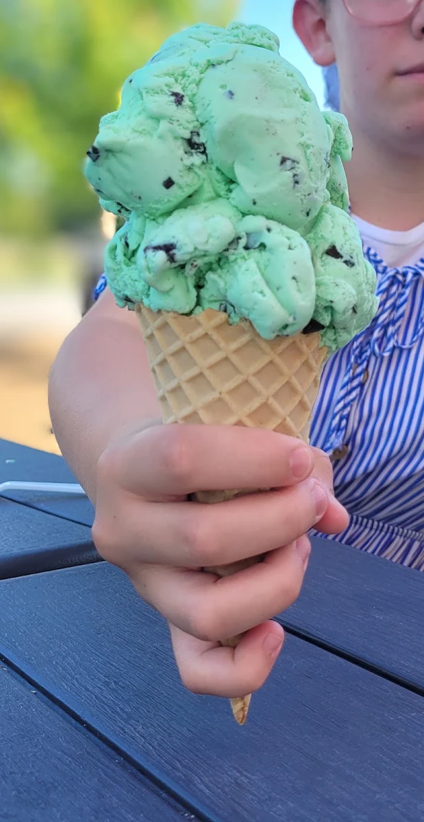 Mint Chip in Waffle Cone