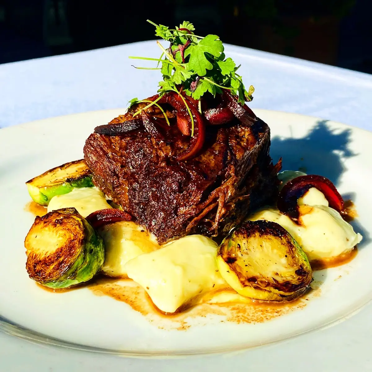 Zin Braised Short Ribs