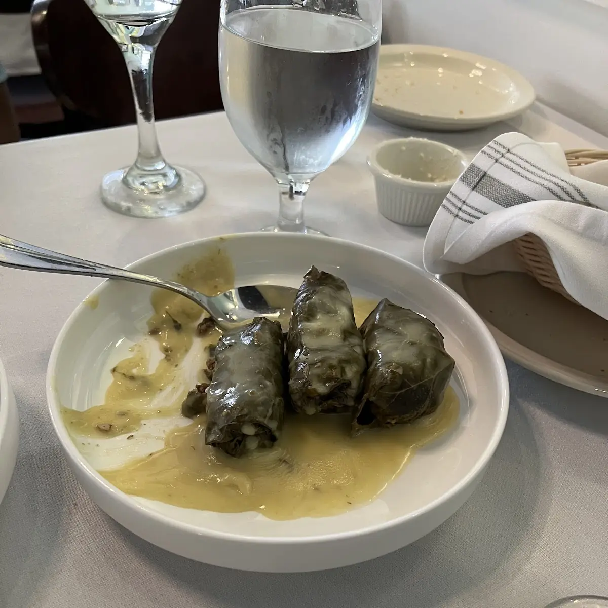 Stuffed Grape Leaves Appetizer