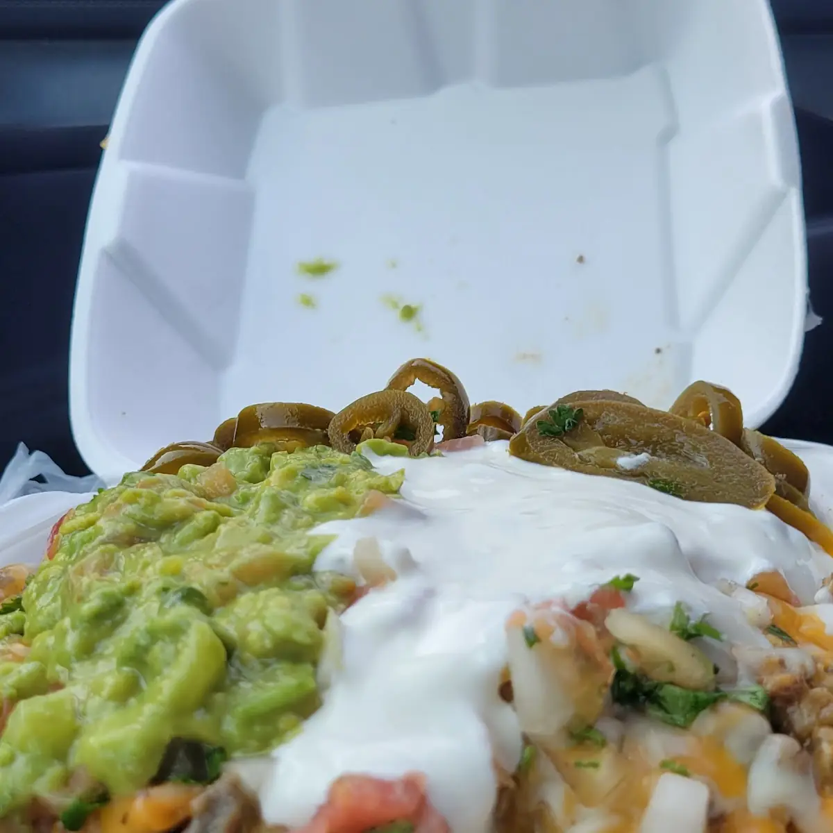Asada Fries with Cheese