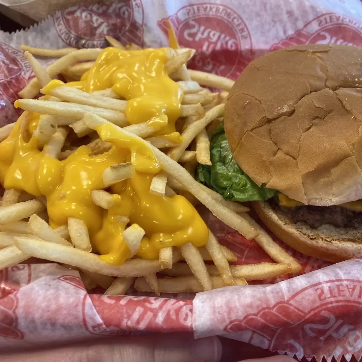 Bacon and Cheese Burger with Cheese Fries
