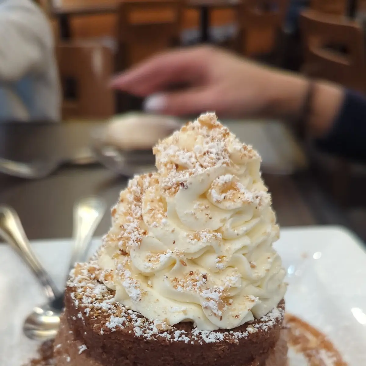 Chocolate Hazelnut Tort