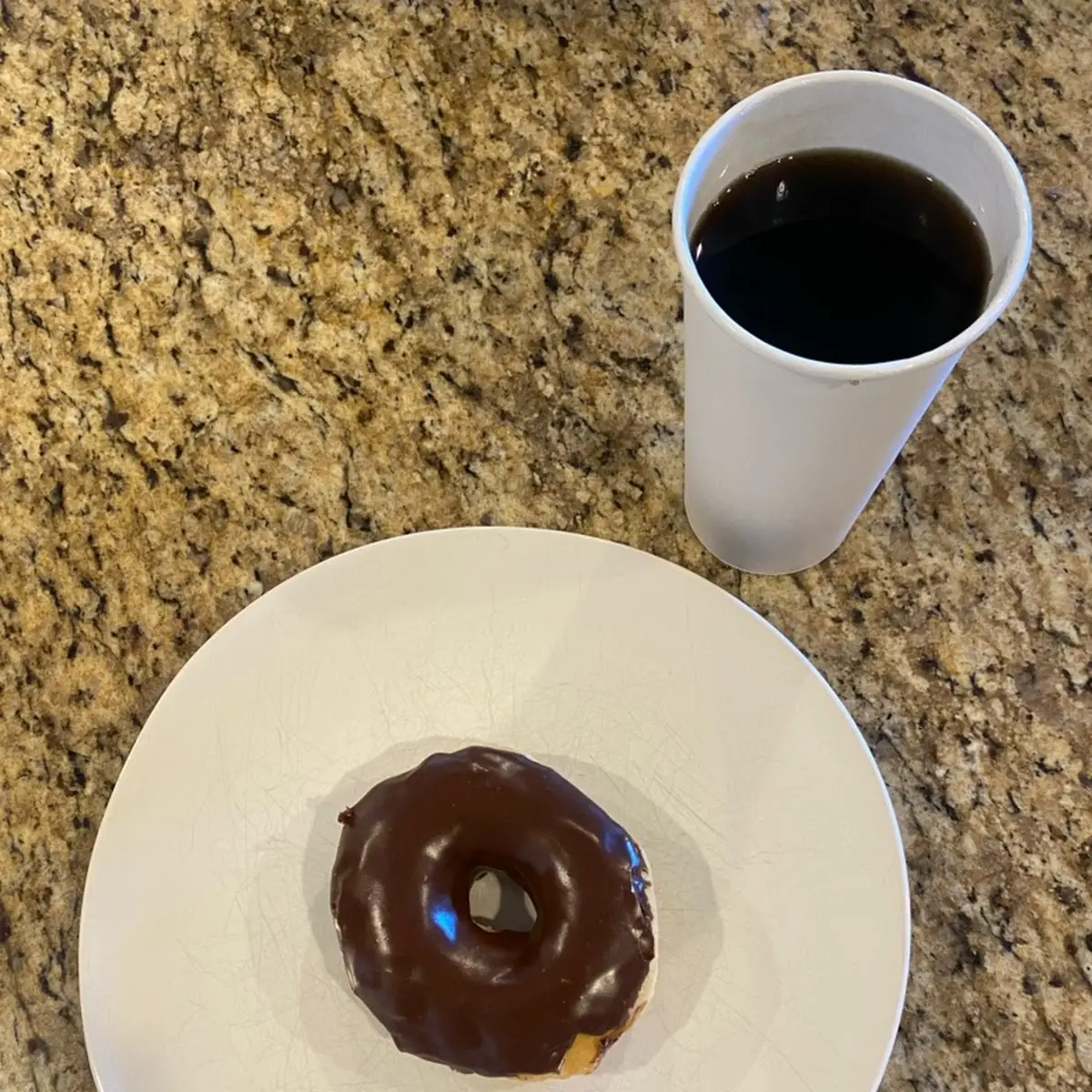 Chocolate Frosted Donut