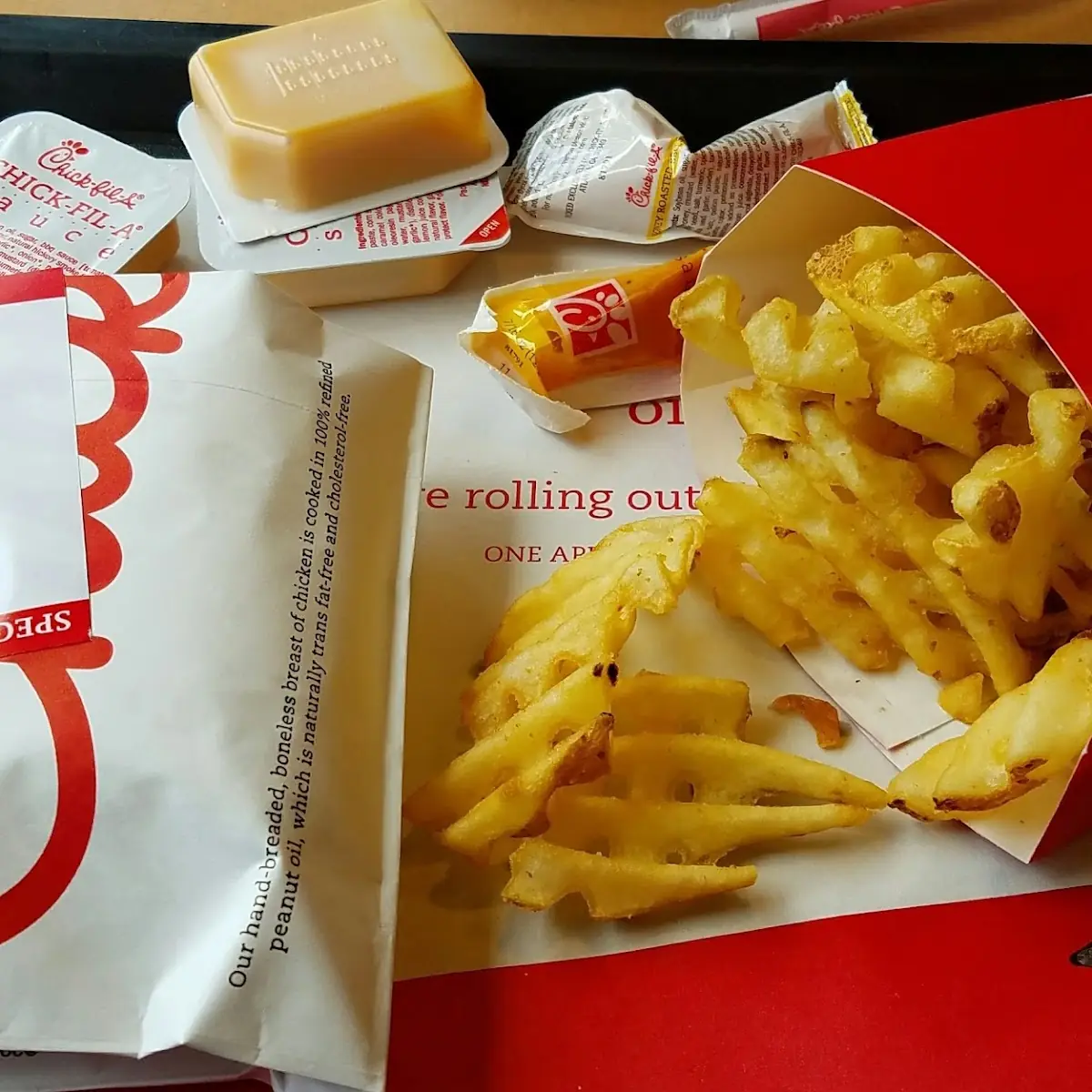Cheese Fries