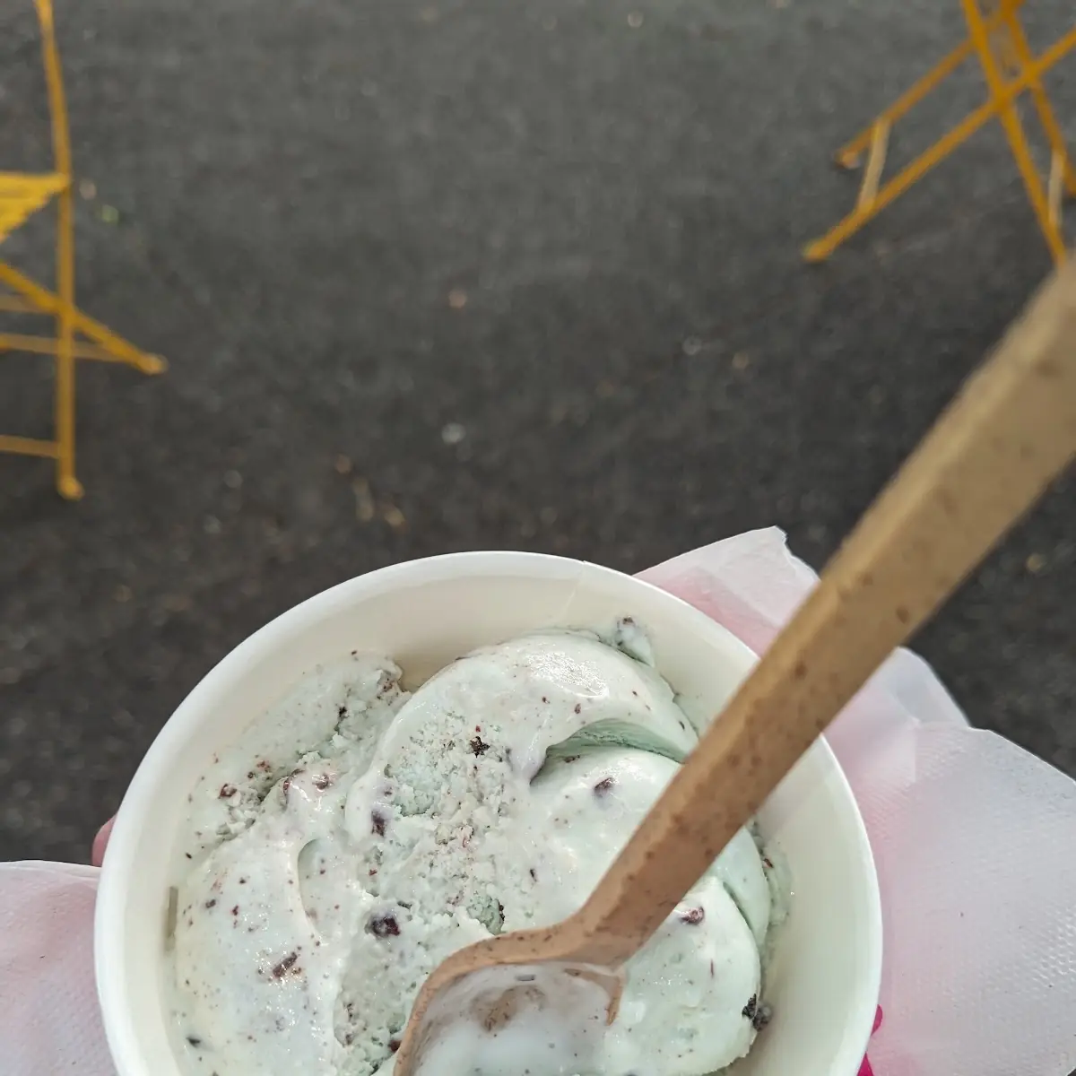 Dairy Free Mint Chip Ice Cream