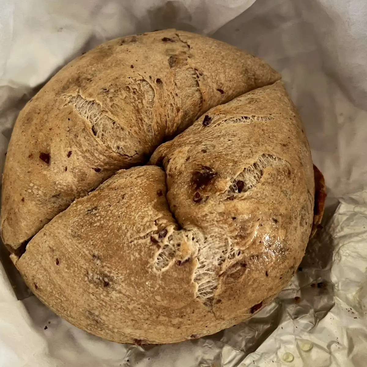 Cinnamon Raisin Bagel