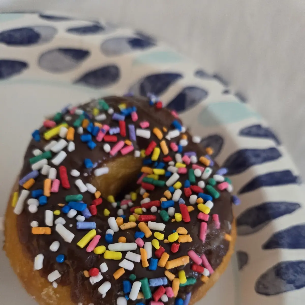 Chocolate Sprinkle Donut
