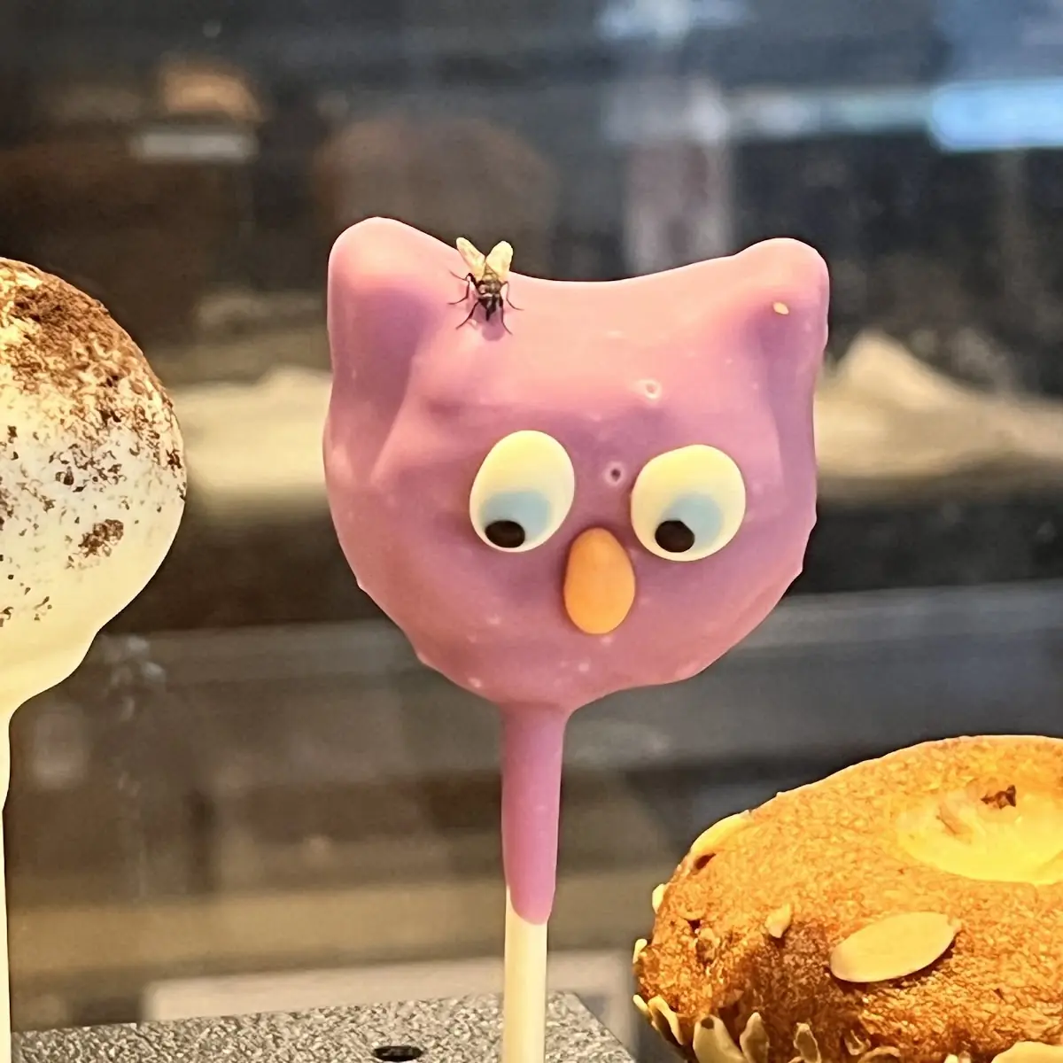 Cake Pop