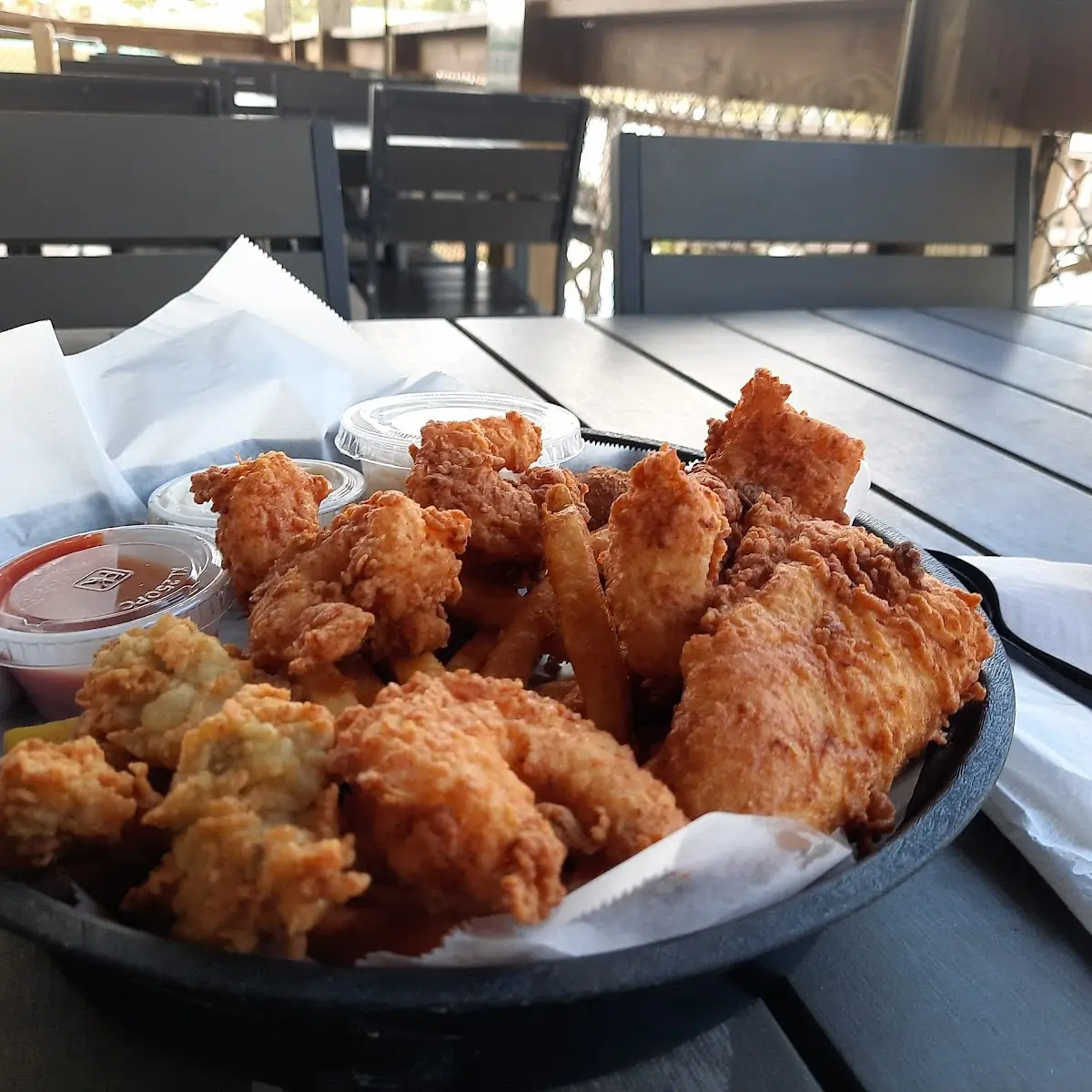 Gator Bites
