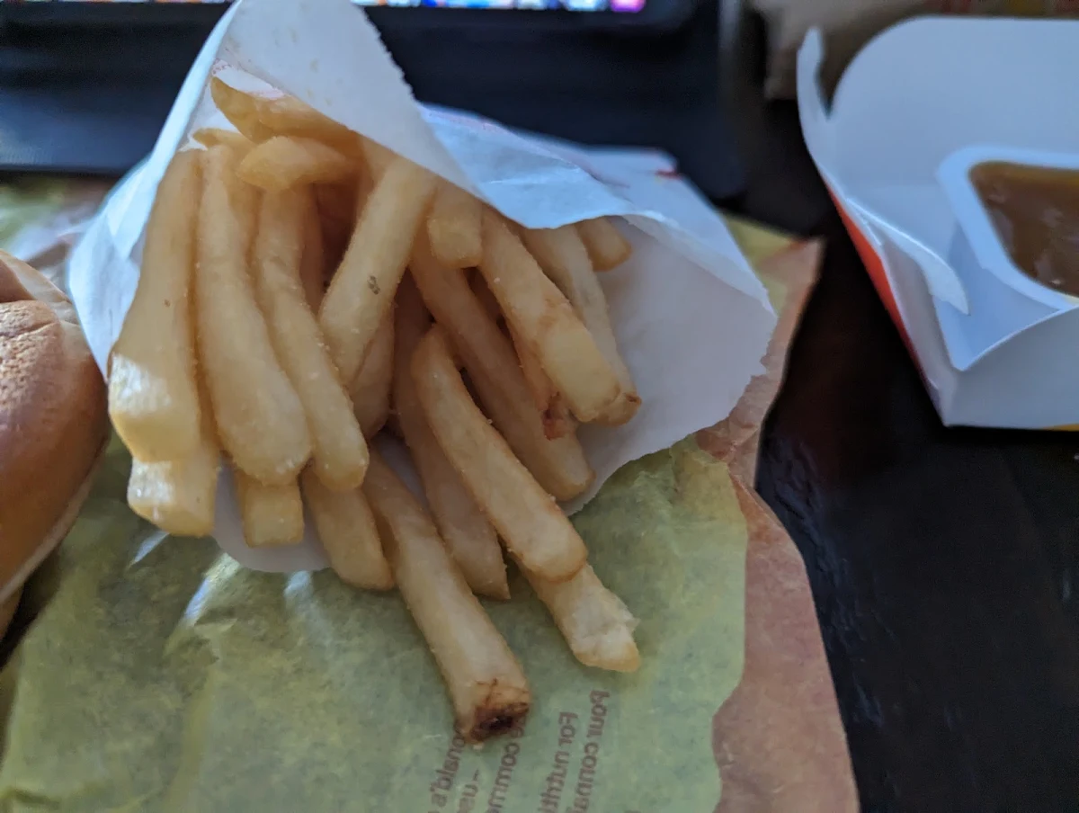 World Famous Fries – Small