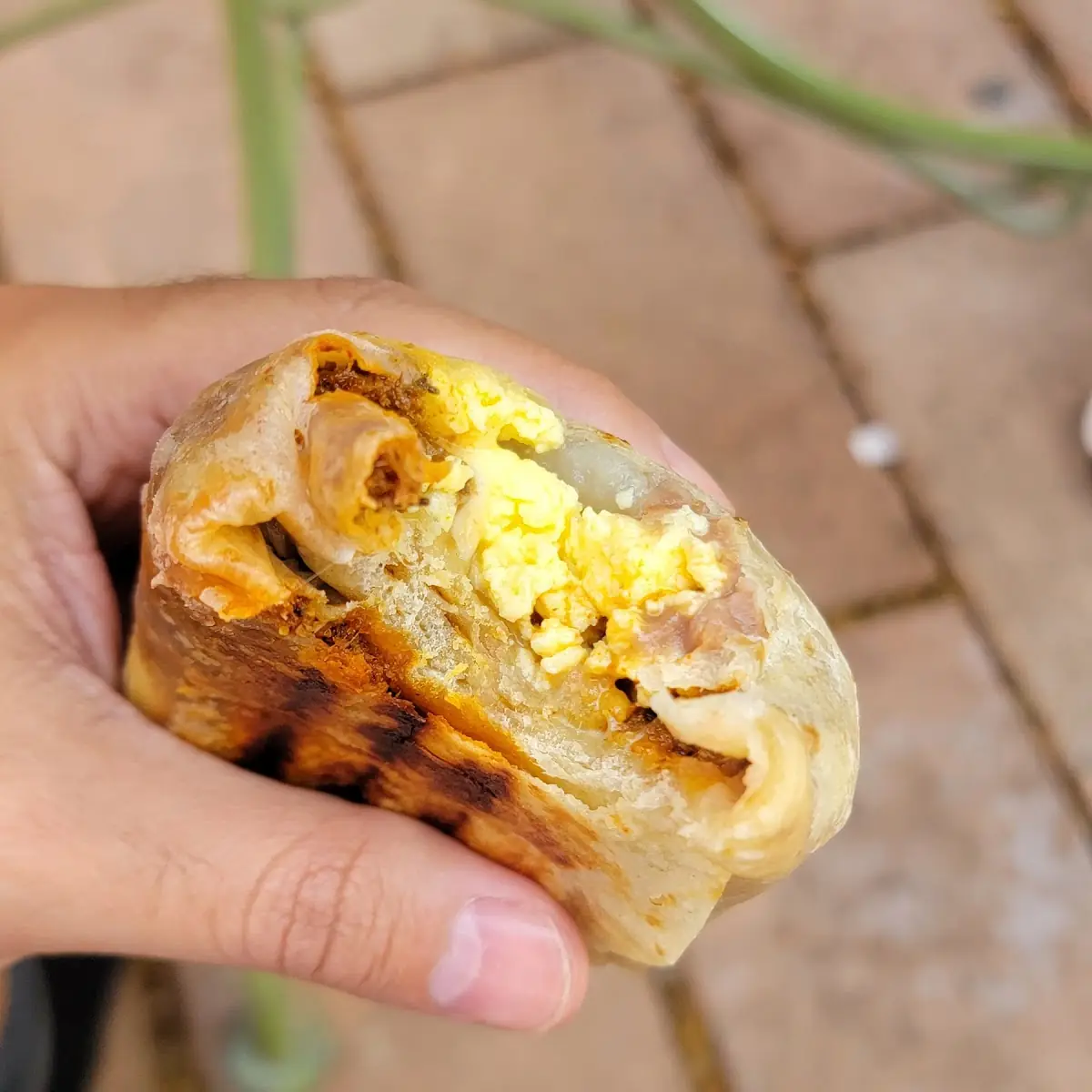 Egg and Chorizo Burrito