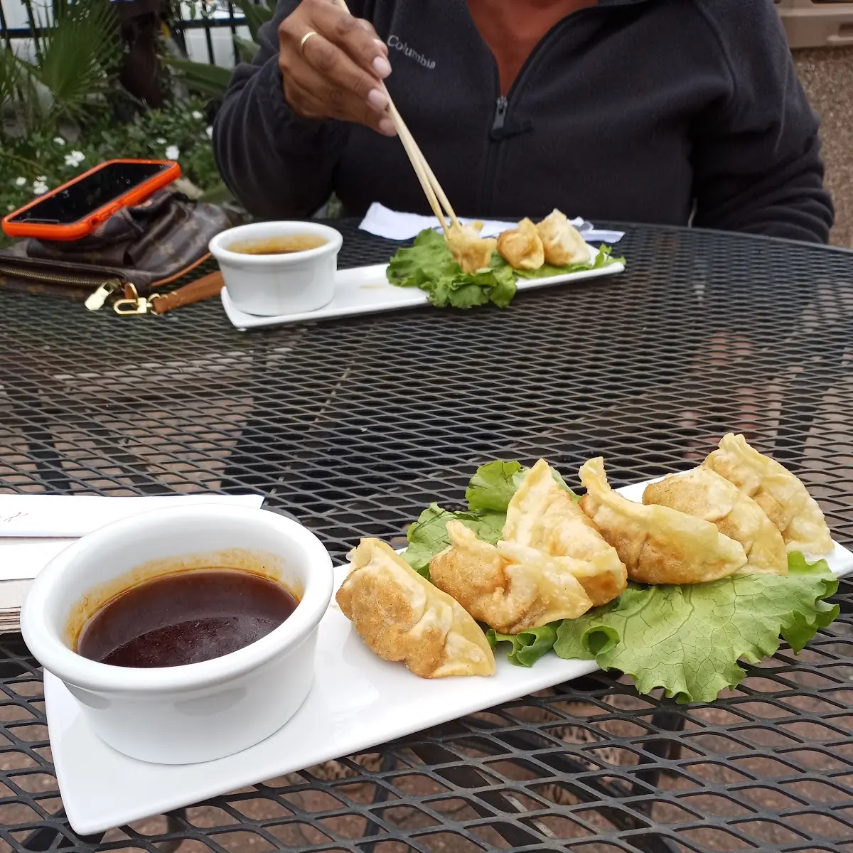Fried Pork Dumplings