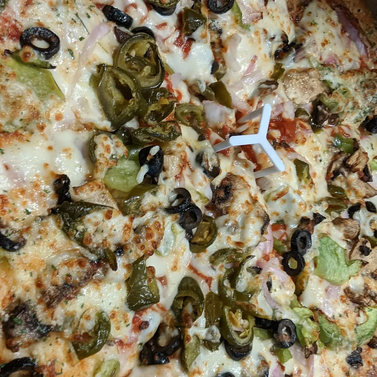 Veggie Pizza
