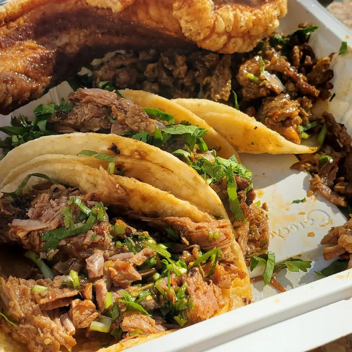 Carnitas Tacos