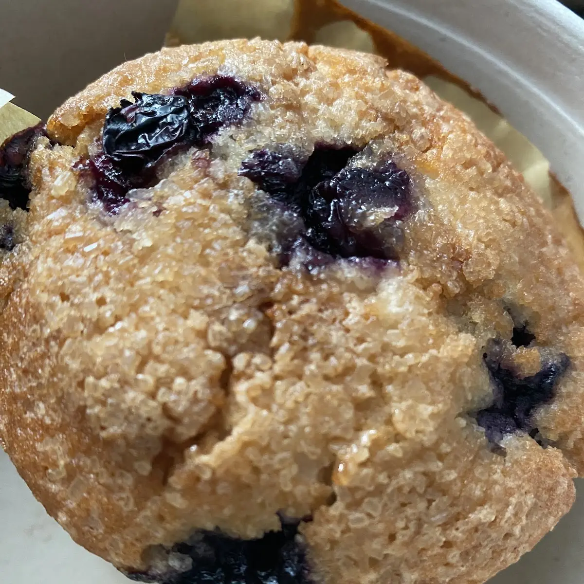 Lemon Blueberry Muffin