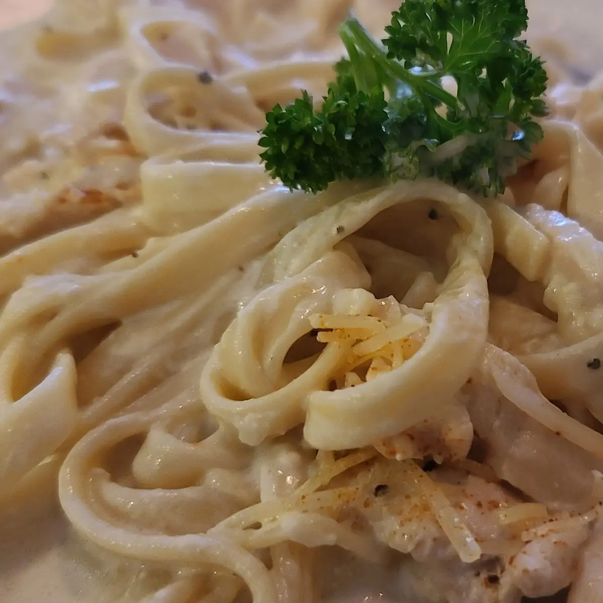 Chicken Alfredo Pasta