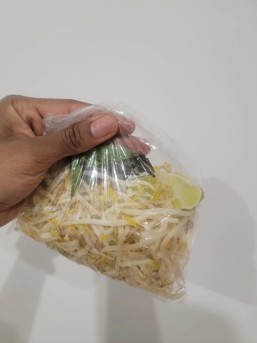 Noodle Soup Fillings