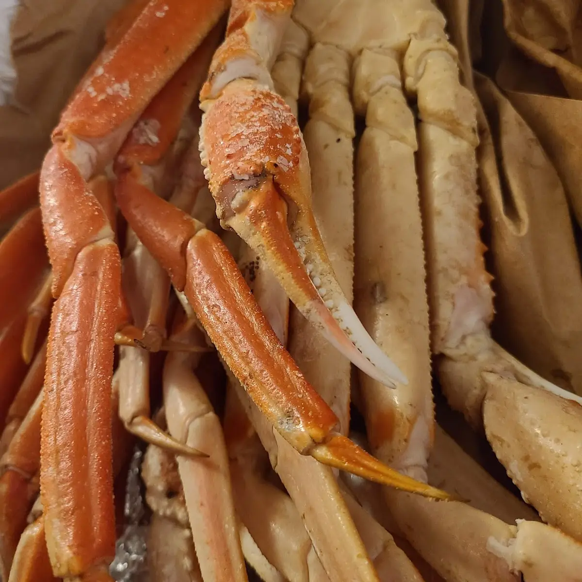 Alaskan Snow Crab Leg