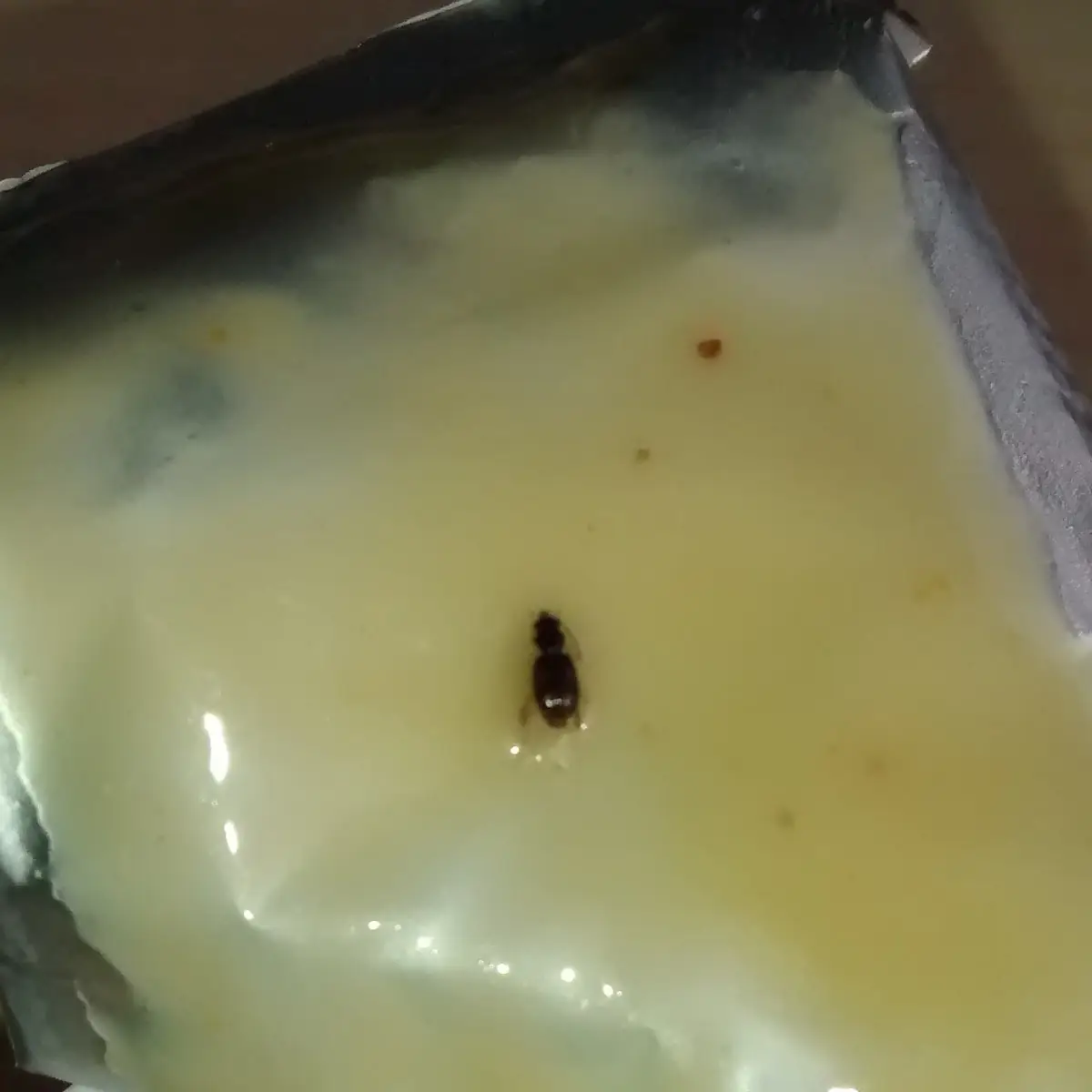 Honey Mustard Sauce