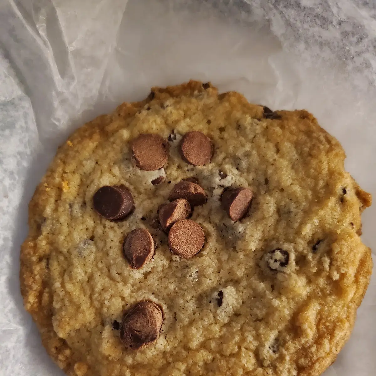 Chocolate Chip Cookie