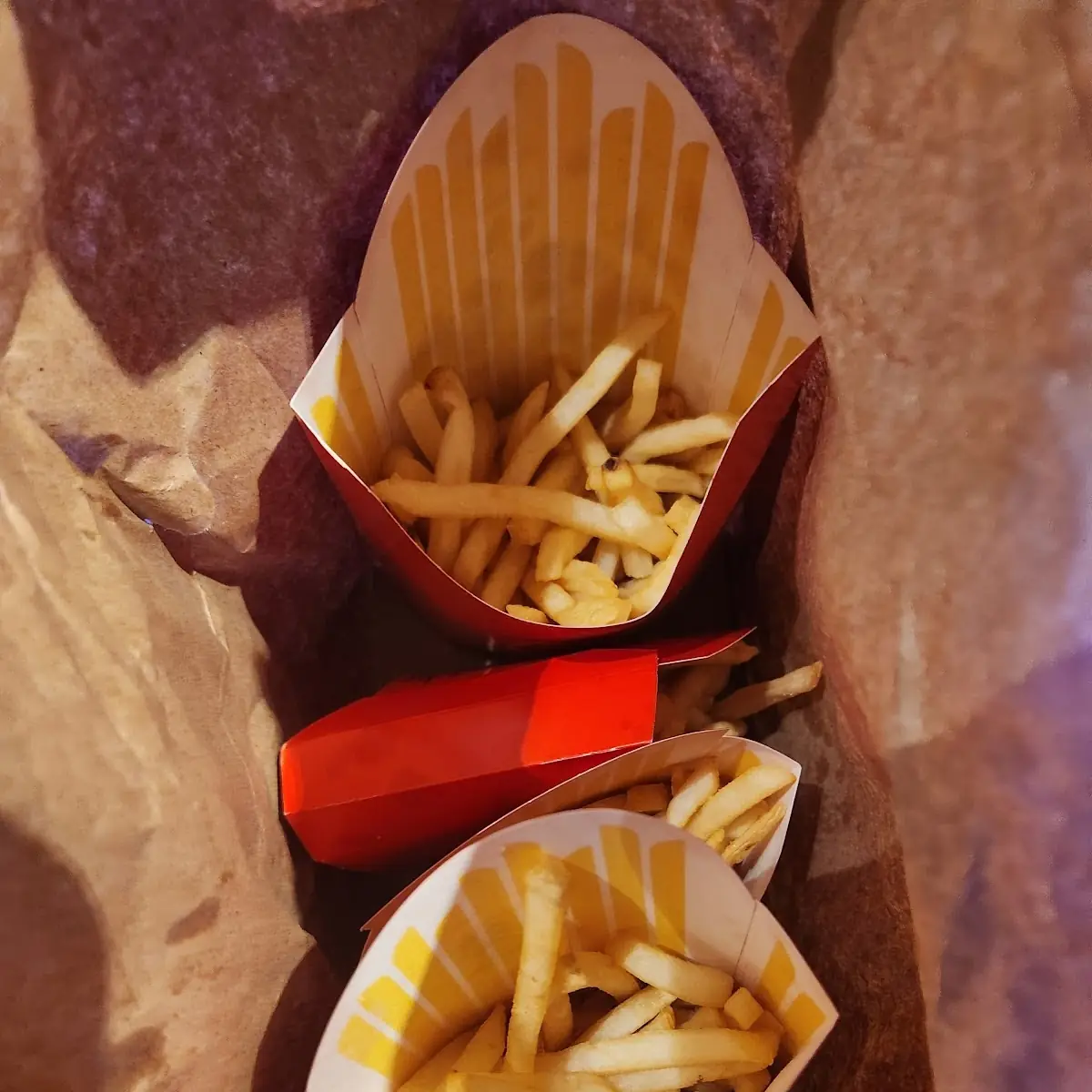 World Famous Fries – Small