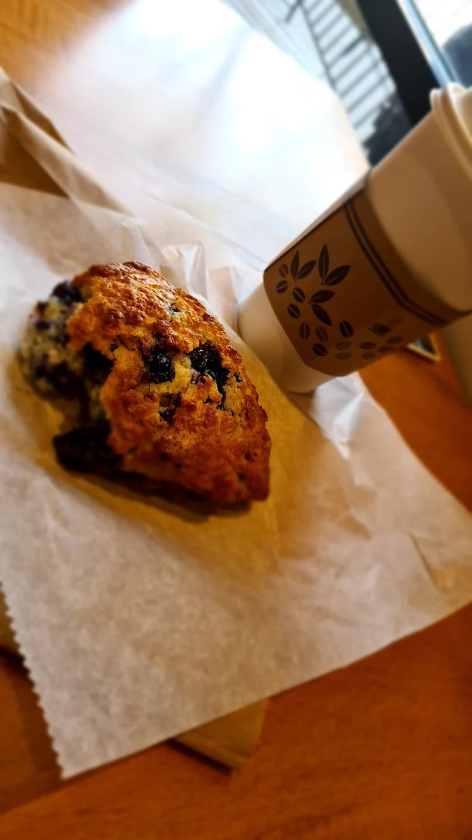 Blueberry Muffin