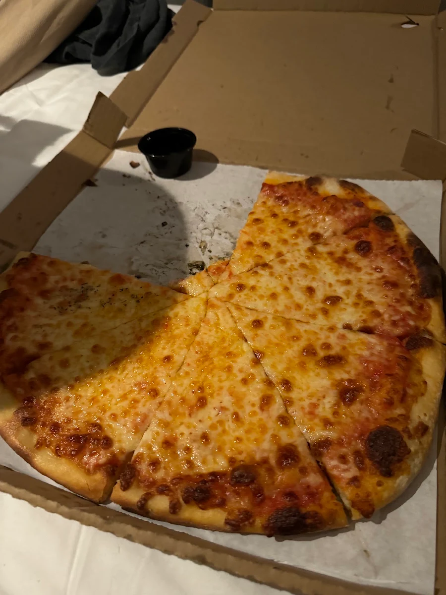 Mozzarella Cheese Pizza