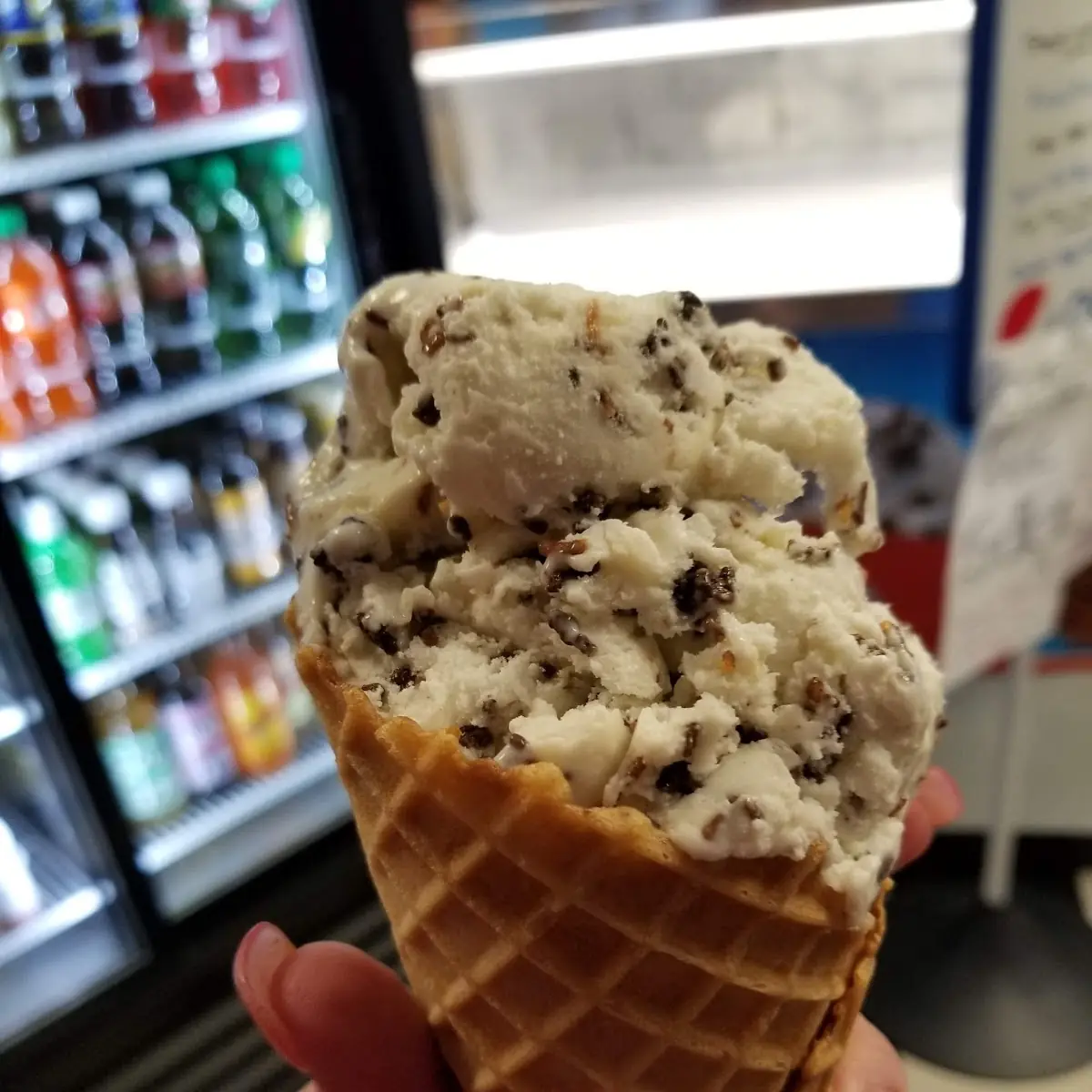Toasted Coconut Ice Cream