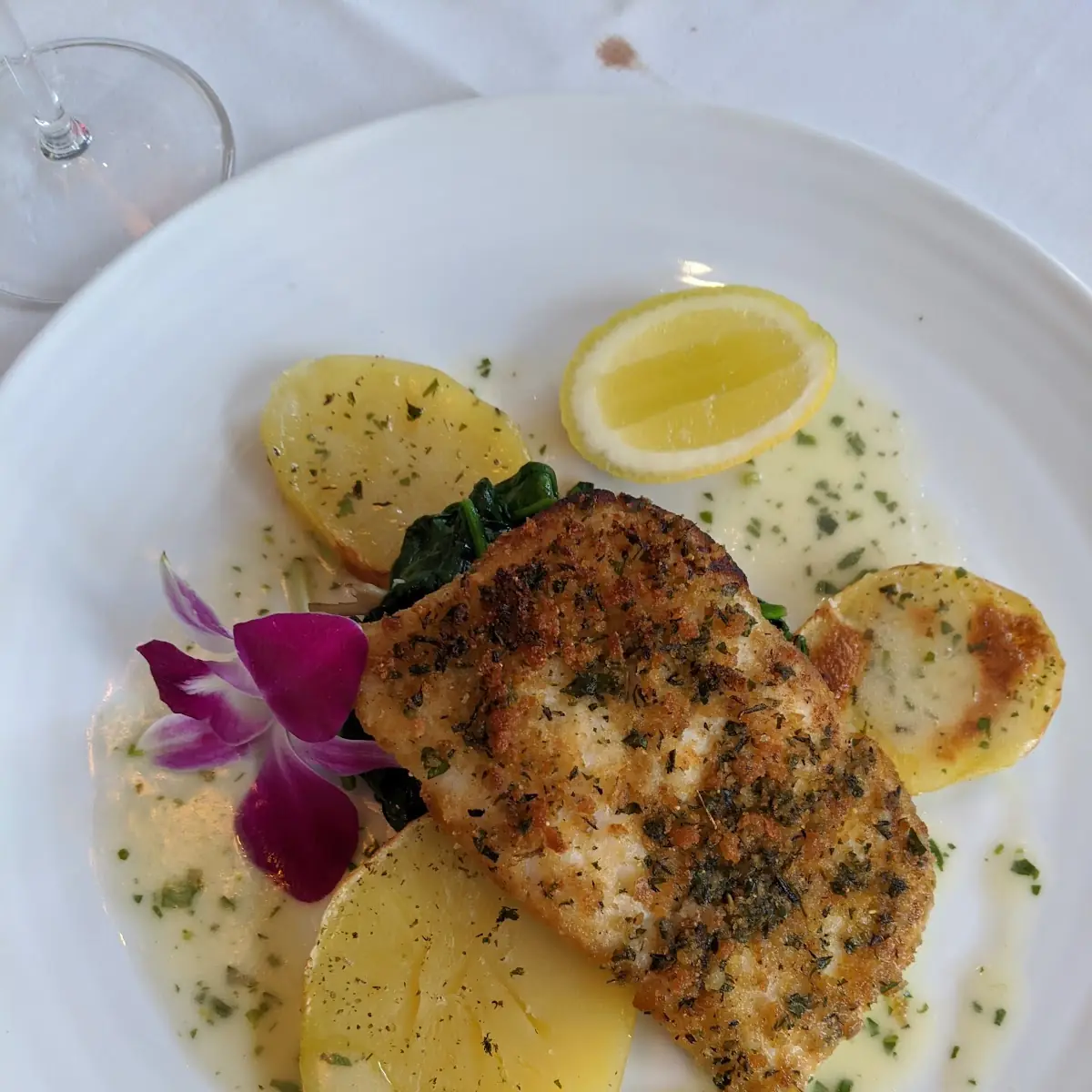 Pan Seared Yellowtail Snapper