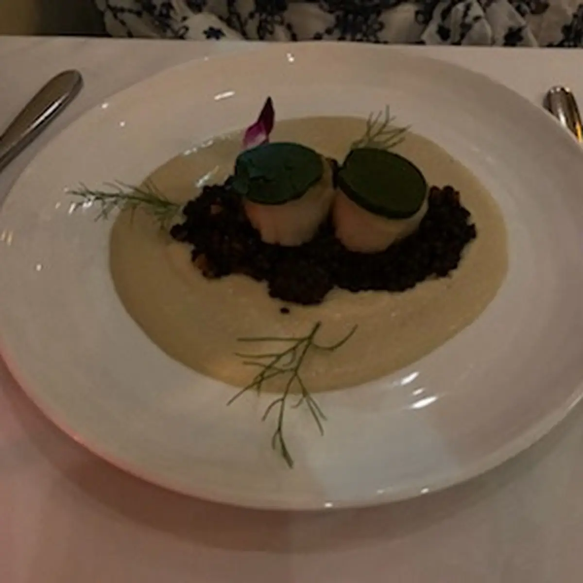 Seared U 6 Sea Scallops - Coquilles Saint-Jacques
