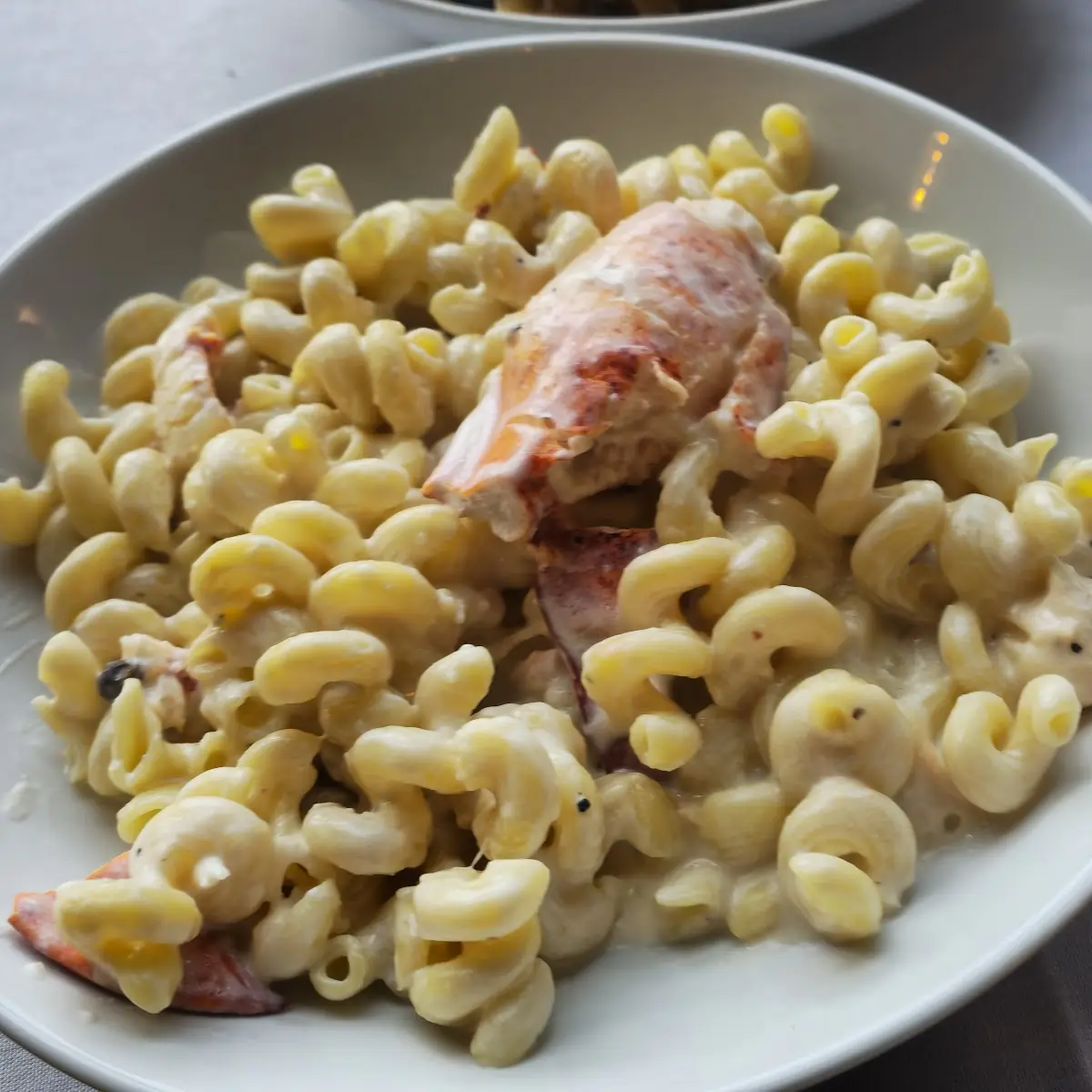 1 4 Pound Lobster Mac & Cheese