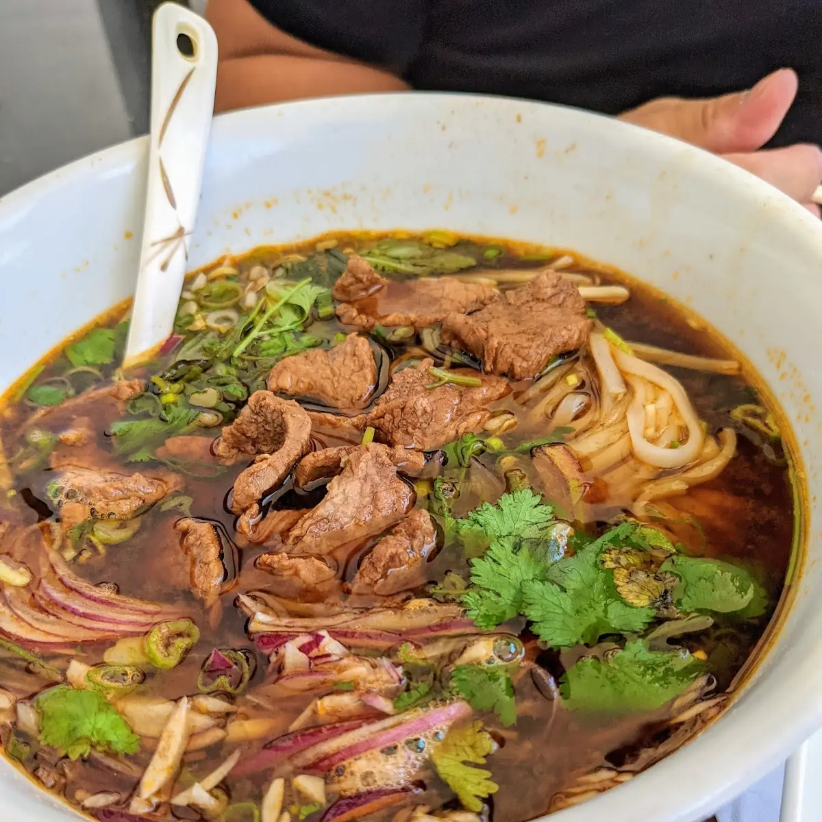 Thai Beef Noodle Soup