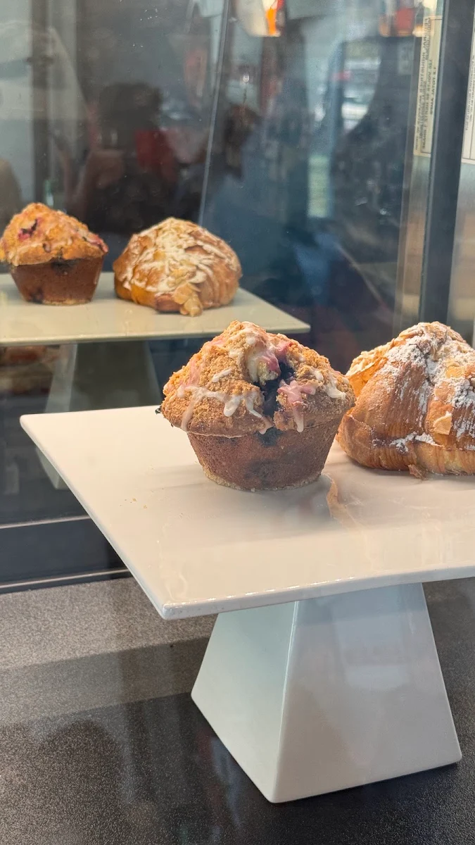 Blueberry Muffin