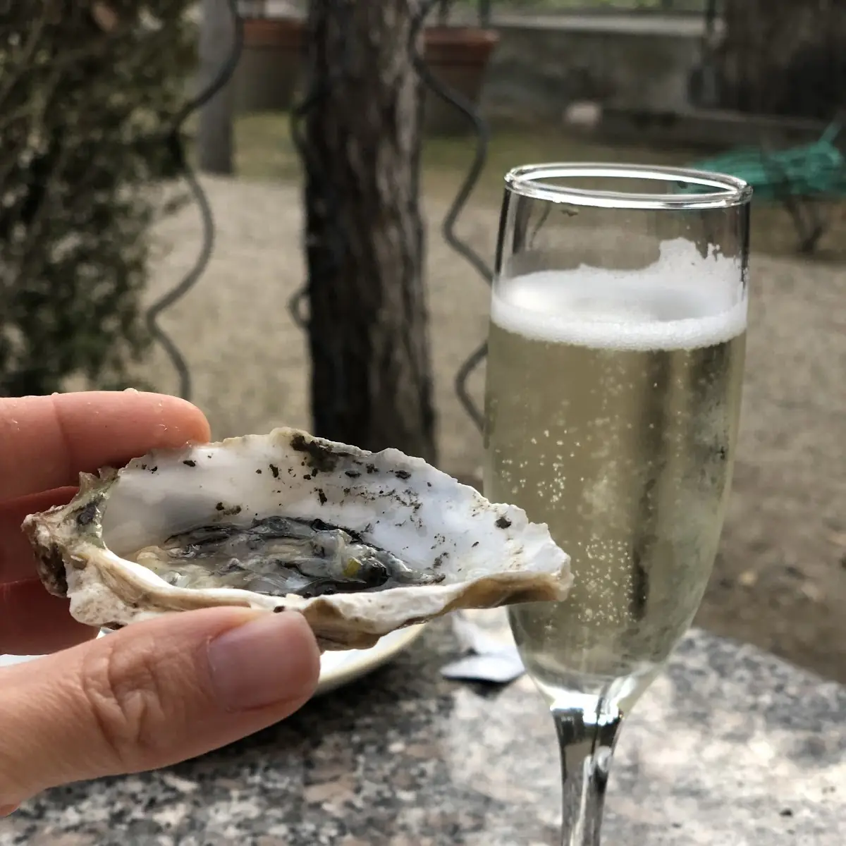 Oysters on the Half Shell