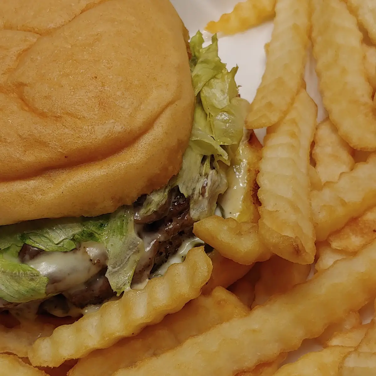 Bleu Cheese Bacon Burger (1/2 lb)