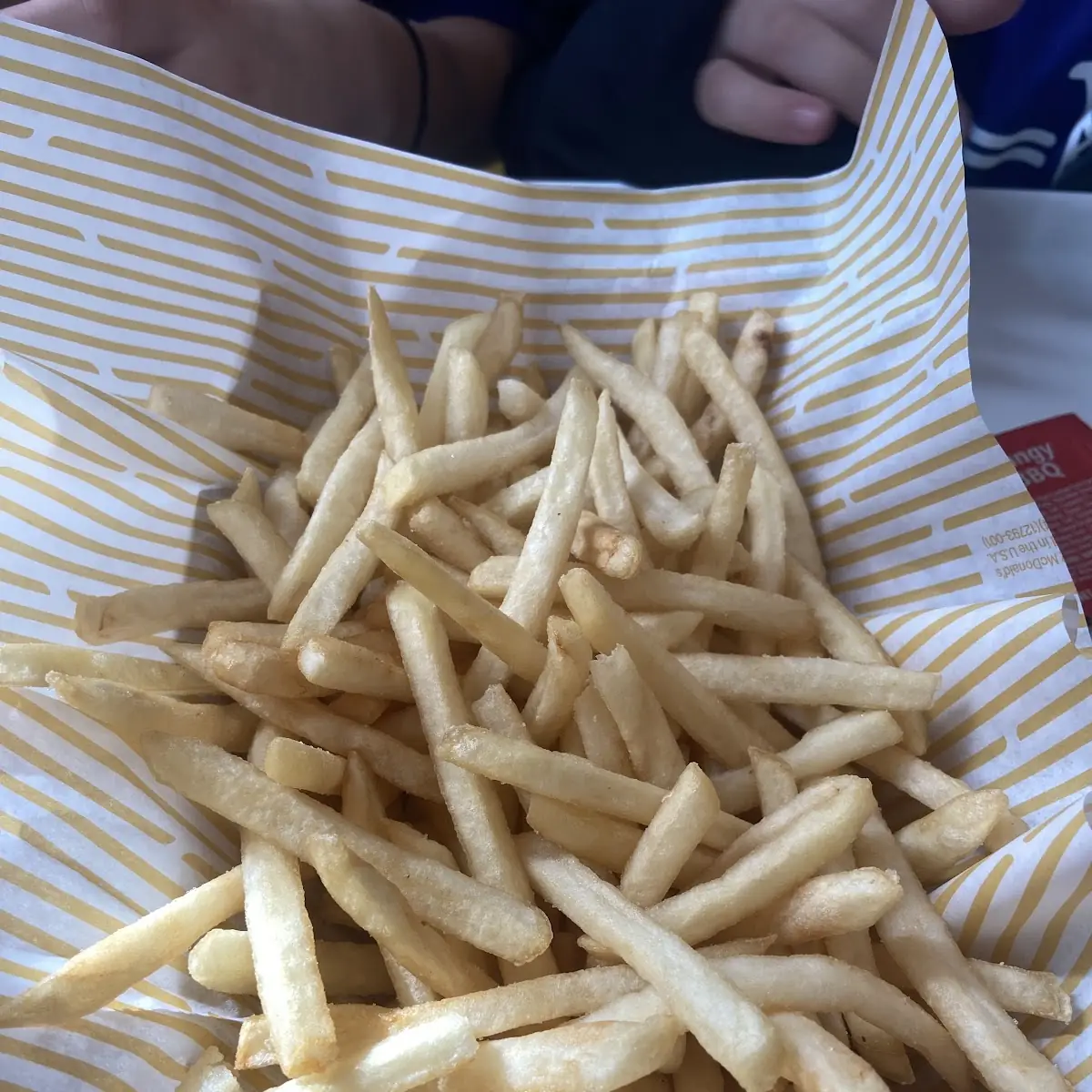 World Famous Fries