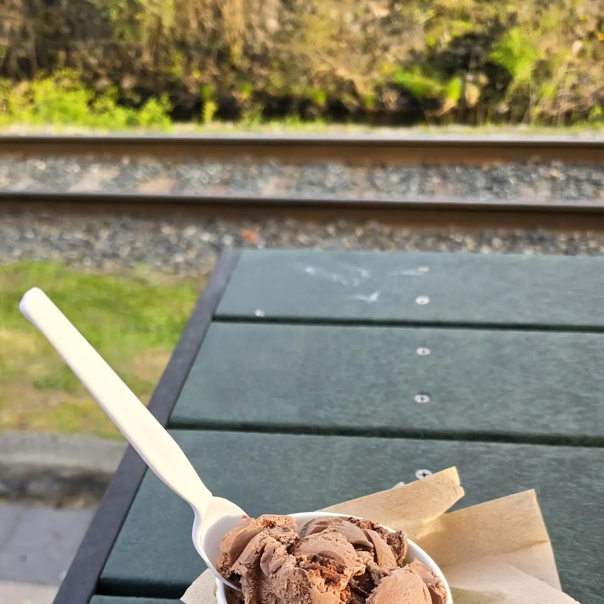 Chocolate Ice Cream