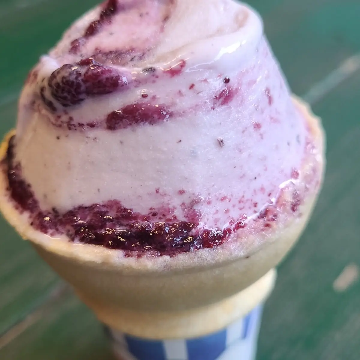 Maine Blueberry Cone