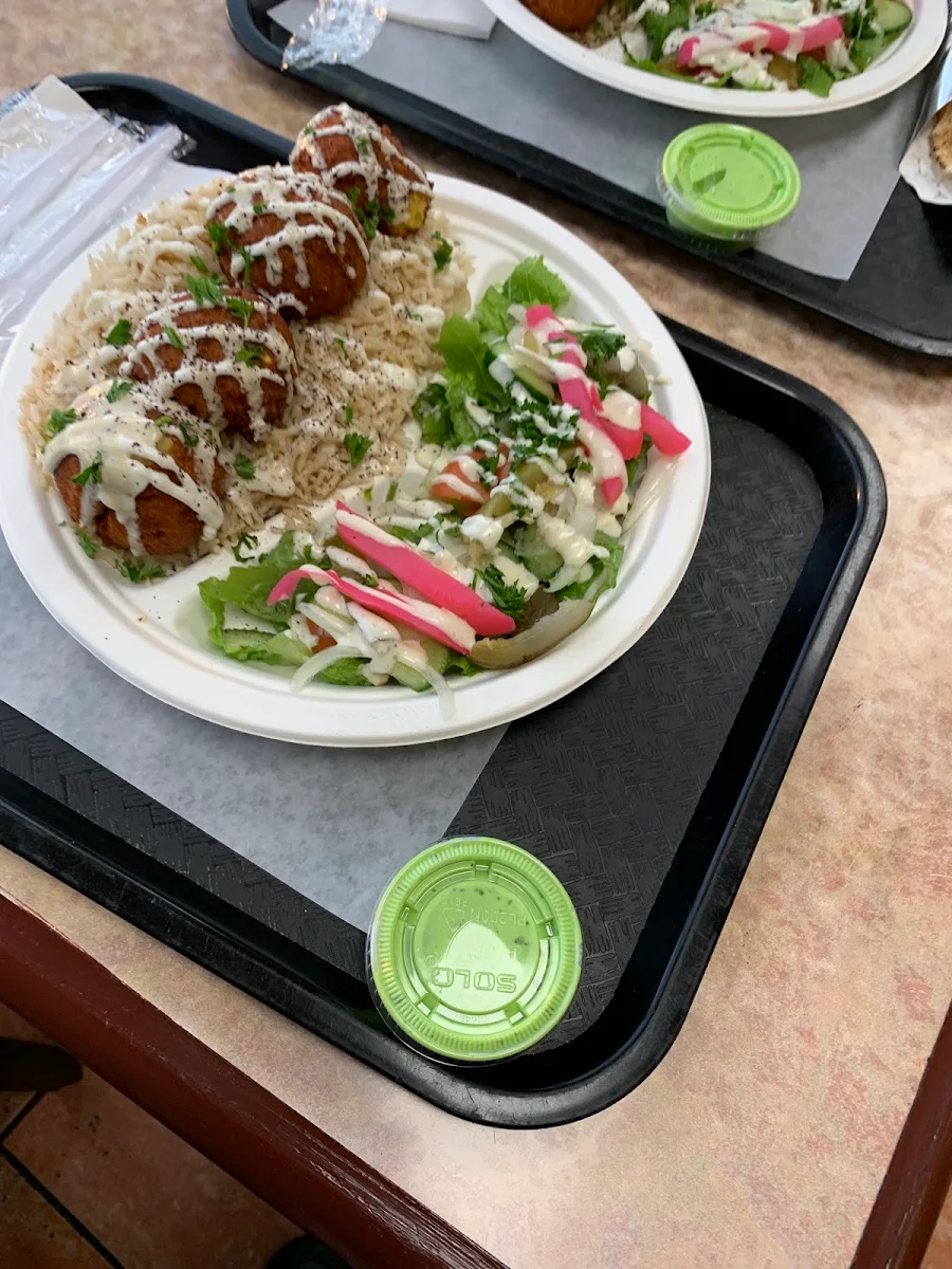 Falafel Plate