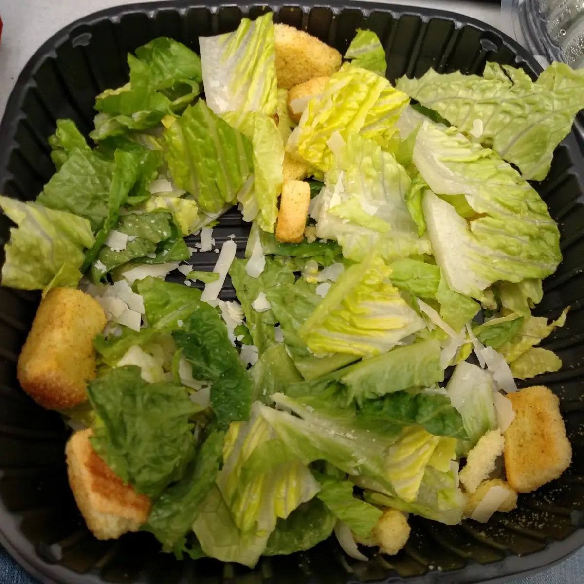 Grilled Chicken Caesar Salad