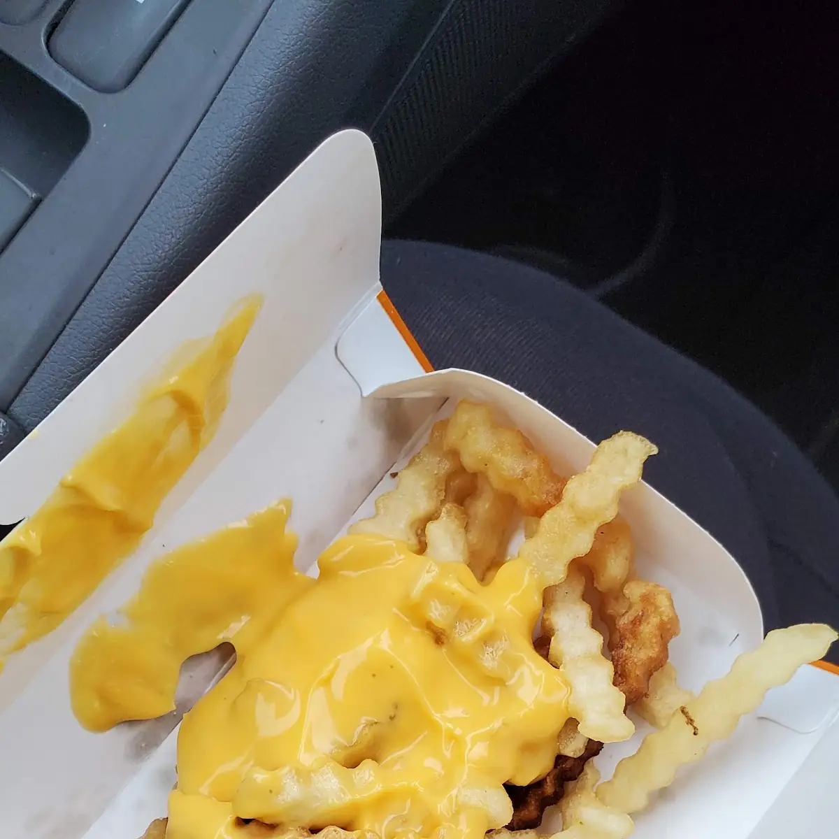 Cheese Fries
