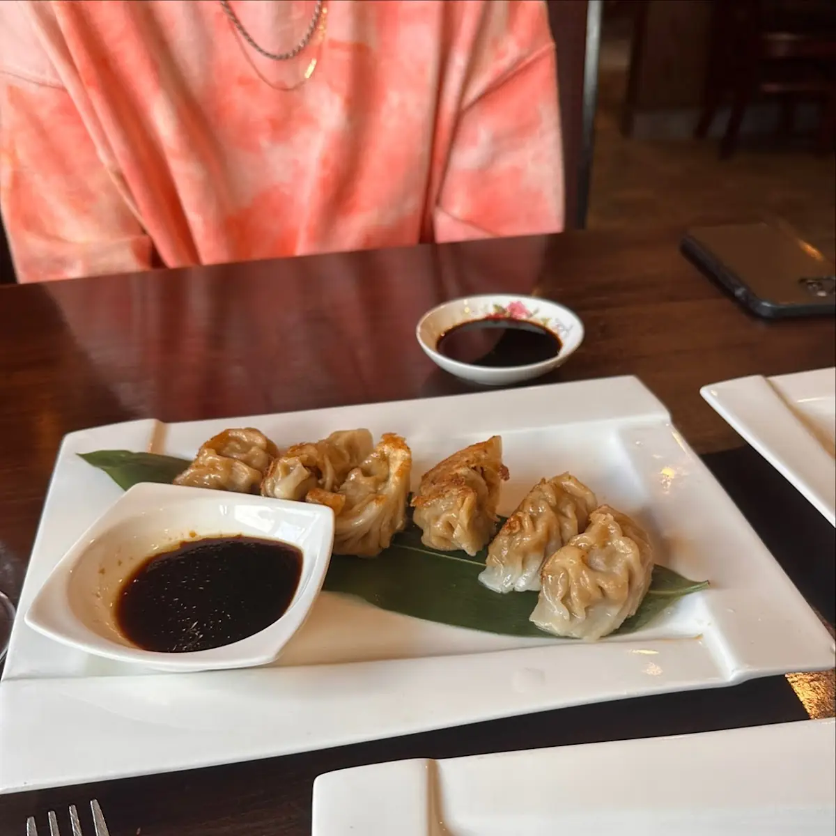 Pan Fried Dumplings