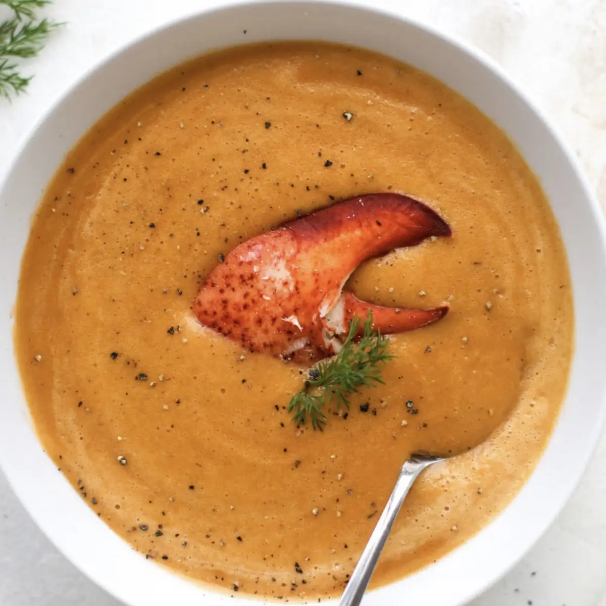 Maine Lobster Bisque