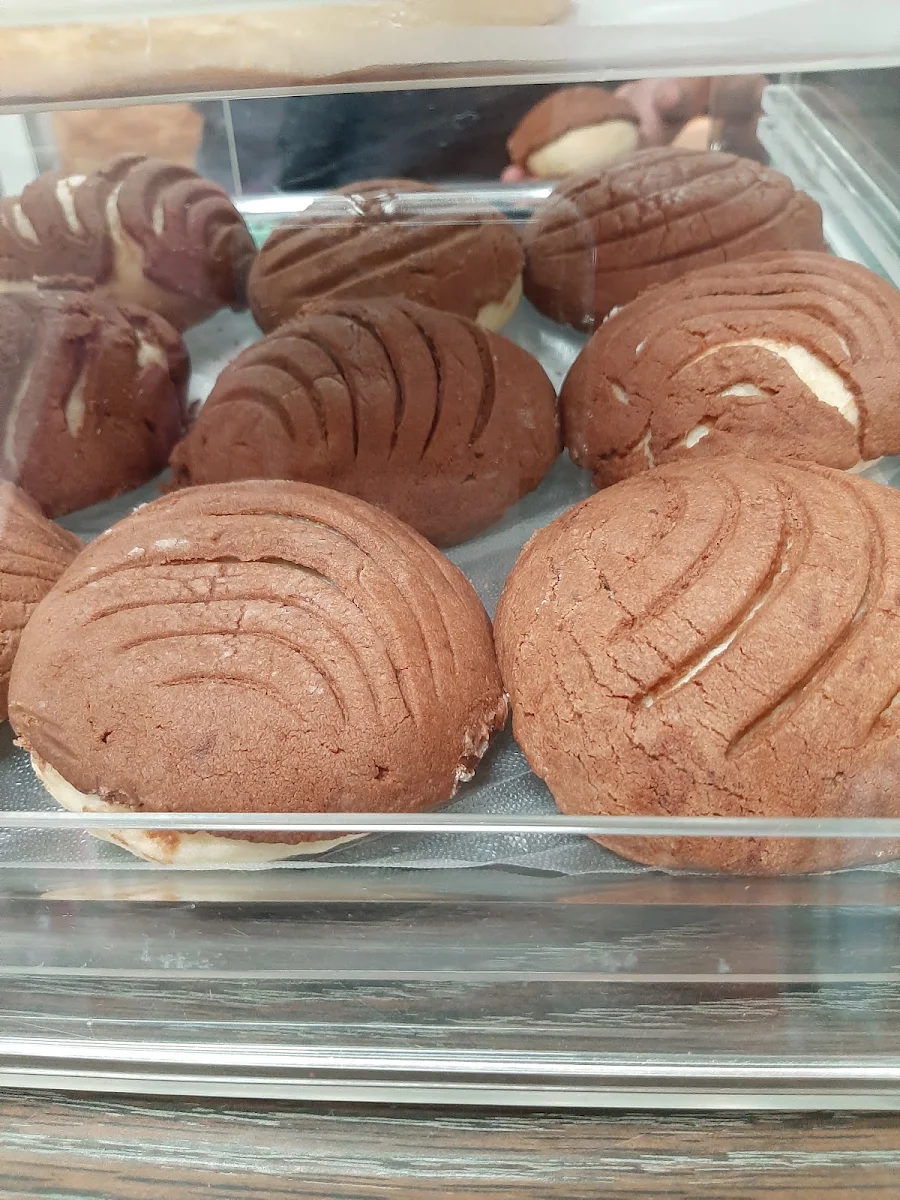 Mexican Sweet Bread Chocolate Conchas
